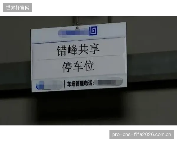 数据显示，北京朝阳区智慧球场夜间使用率比日间高出2.5倍，揭示了场地错峰共享的巨大潜力